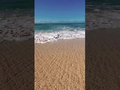 Jeux électroniques, télévision numérique, scooter, réservoir, voiture de neige.